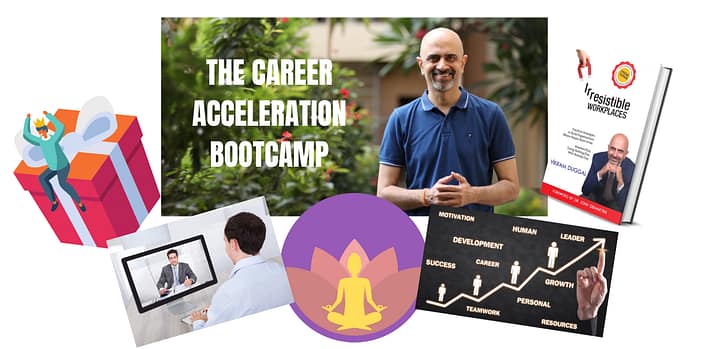 CATS Mockup (1) CATS Mockup (1)